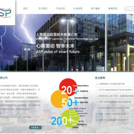 上海雷迅(ASP),心随雷动，智享未来!