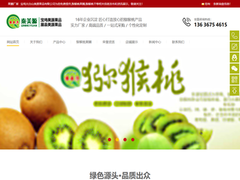 猕猴桃果脯厂家