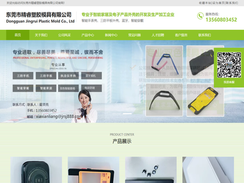 东莞市精睿塑胶模具有限公司