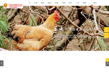 广西富凤农牧集团