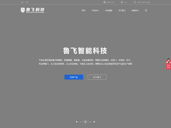 山东鲁飞智能科技有限公司