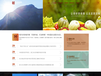 浙江东日股份有限公司