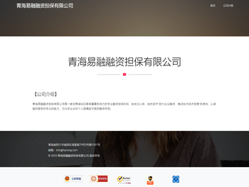 青海易融融资担保有限公司