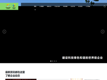 中色（宁夏）东方集团有限公司
