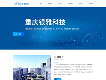 重庆银雅科技