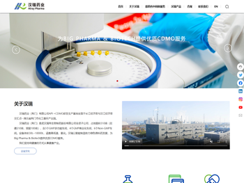 汉瑞药业（荆门）有限公司