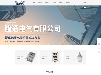 隆通电气有限公司