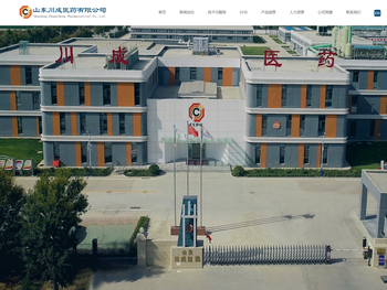 山东川成医药有限公司