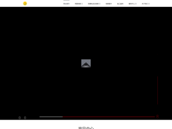 上海阳湖地板有限公司