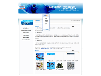 嘉兴市新优化工有限公司