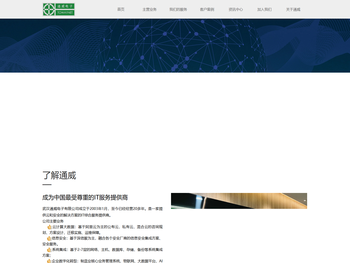 武汉通威电子有限公司