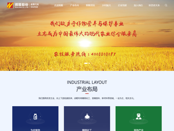 安徽辉隆农资集团股份有限公司