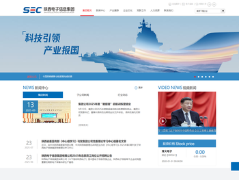 陕西电子信息集团有限公司