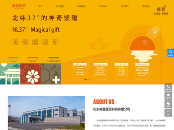 山东威登医药科技有限公司