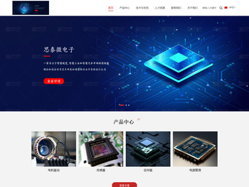 杭州思泰微电子有限公司