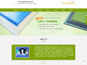 河北高分子异形件