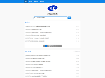 凤凰信息技术有限公司