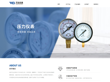 南京压力仪表,不锈钢耐震压力表,气体,耐震,防爆,差动远传压力表