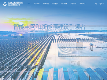 长江电工集团有限公司