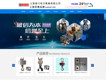 上海百鹰电子吊秤