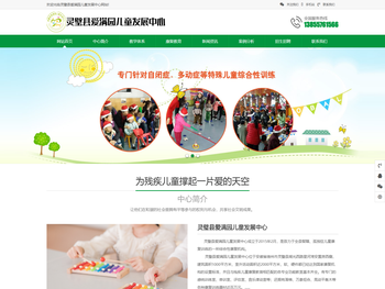 灵璧孤独自闭症治疗