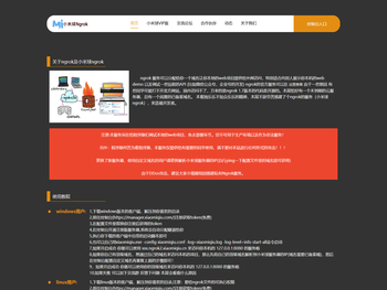 Ngrok国内免费服务器