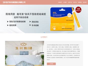 玉叶医疗科技集团股份有限公司