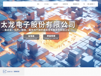 太龙电子股份有限公司