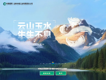 云南中烟工业有限责任公司