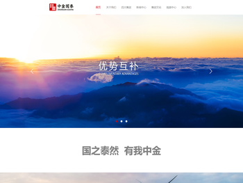 中金国泰实业，聚焦新能源