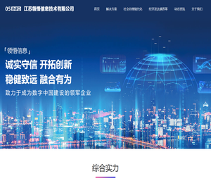 江苏领悟信息技术有限公司