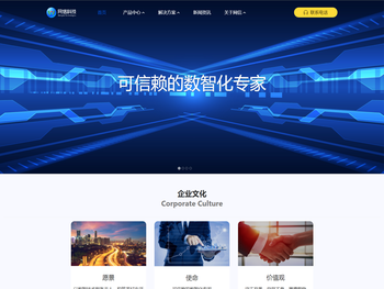 可信赖的数智化专家