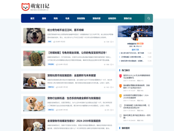 打开宠物世界大门