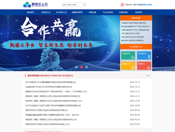 智慧云上云电子招投标交易平台