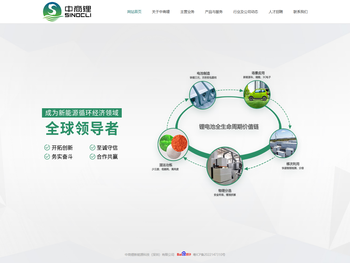 中商锂新能源科技（深圳）有限公司