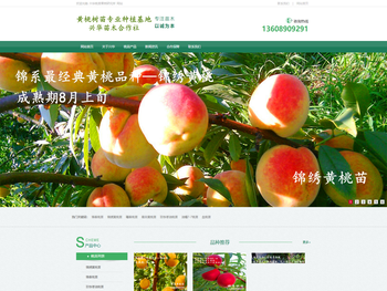 黄桃树苗专业种植基地