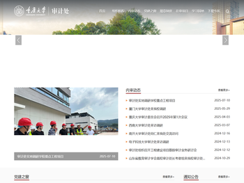 重庆大学审计处