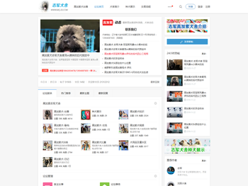 高加索,高加索犬,高加索犬舍,志军犬舍