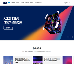 NCS恩士迅中国