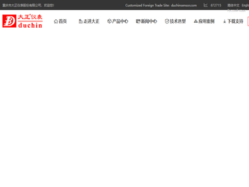 重庆市大正仪表股份有限公司