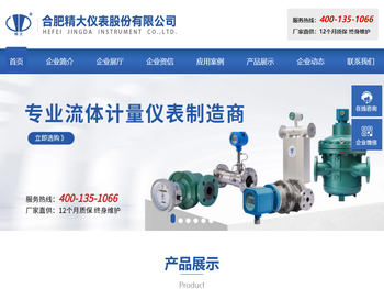 合肥精大仪表股份有限公司