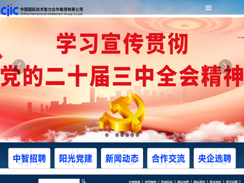 中智集团首页