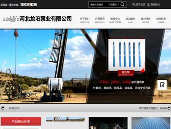 河北龙泊泵业有限公司