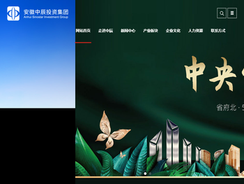 安徽中辰投资控股有限公司