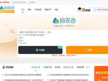 码农谷：职业资格考试试题与答案大全