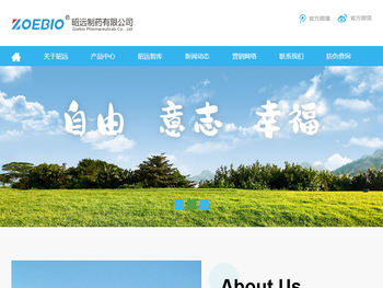 0昭远制药有限公司