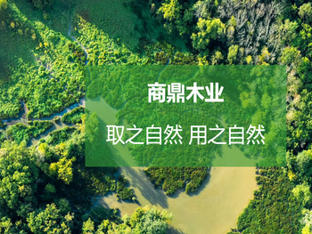 商丘市鼎盛实业有限公司（商鼎木业）