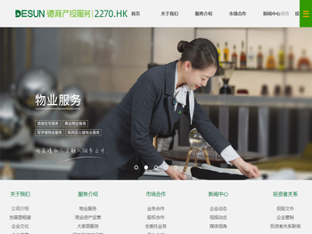 德商产投服务集团有限公司