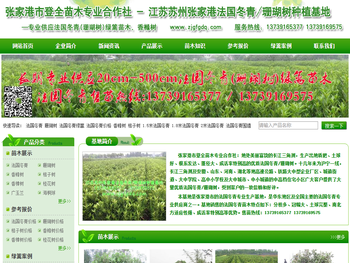 江苏苏州张家港法国冬青/珊瑚树种植基地