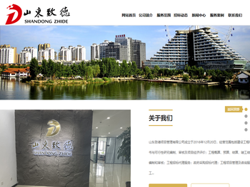 山东致德项目管理有限公司